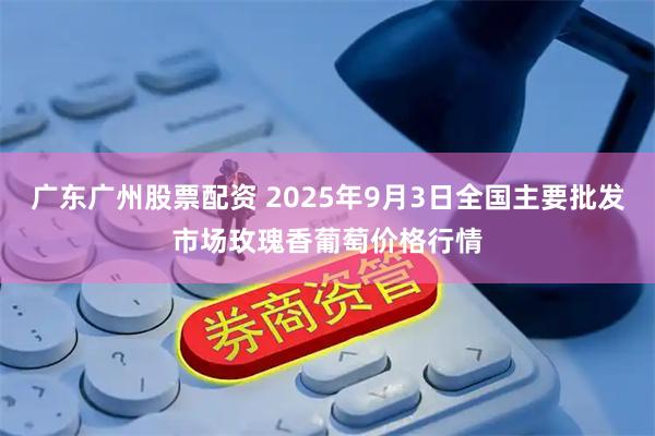 广东广州股票配资 2025年9月3日全国主要批发市场玫瑰香葡萄价格行情