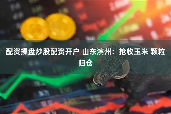 配资操盘炒股配资开户 山东滨州：抢收玉米 颗粒归仓