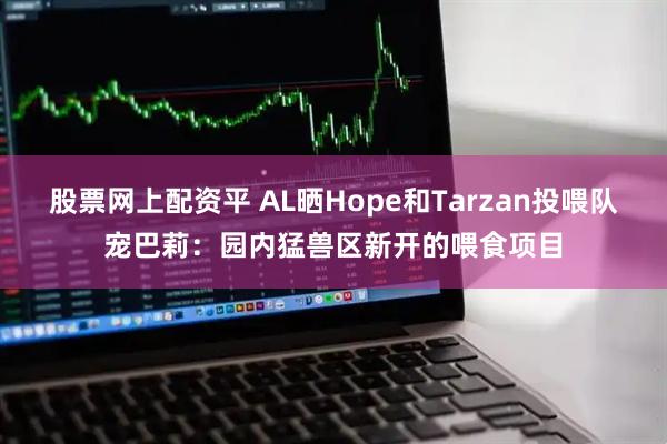 股票网上配资平 AL晒Hope和Tarzan投喂队宠巴莉：园内猛兽区新开的喂食项目