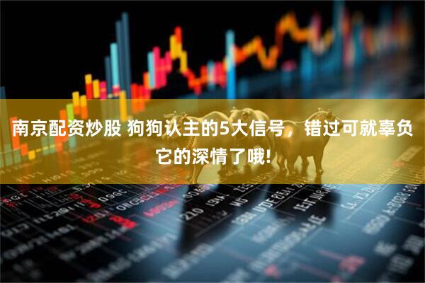 南京配资炒股 狗狗认主的5大信号，错过可就辜负它的深情了哦!
